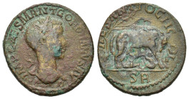 Gordian III (238-244). Pisidia, Antioch. Æ (33mm, 24.70g). Laureate head r. R/ She-wolf standing r. under tree, suckling the twins Romulus and Remus. ...