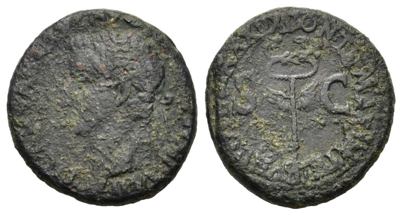 Tiberius (14-37). Æ As (26mm, 11.80g). Rome, 35-6. Laureate head l. R/ Legend ar...