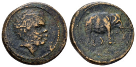 Etruria, Uncertain mint Bronze III century BC - From a private British collection.