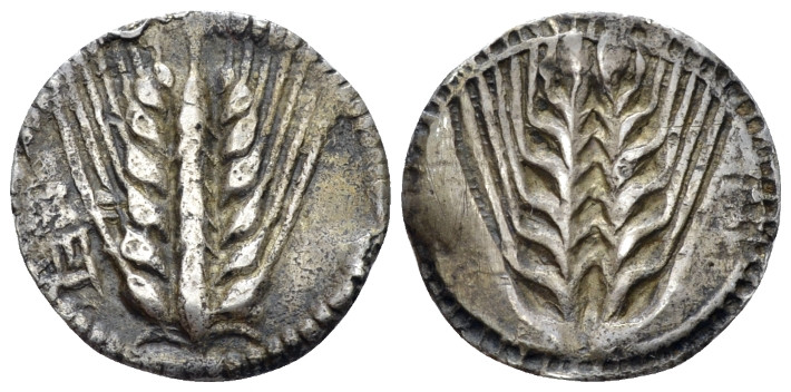 Lucania, Metapontum Drachm circa 540-510, AR 18.00 mm., 2.48 g.
Barley ear. Rev...