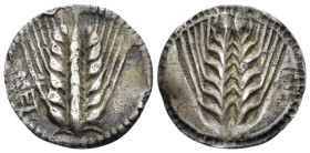 Lucania, Metapontum Drachm circa 540-510 - From the collection of a Mentor.