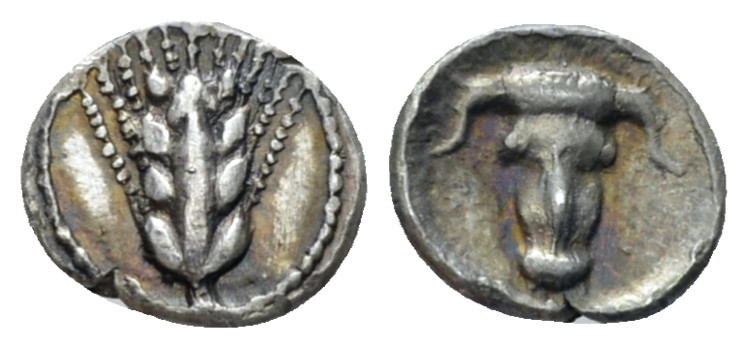 Lucania, Metapontum Obol circa 440-430, AR 10.00 mm., 0.43 g.
Barley ear. Rev. ...