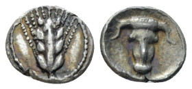 Lucania, Metapontum Obol circa 440-430 - From the collection of a Mentor.
