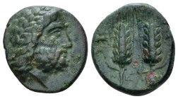 Lucania, Metapontum Bronze First quarter III to mid III century BC