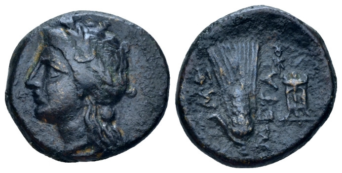 Lucania, Metapontum Bronze First quarter III to mid III century, Æ 17.00 mm., 3....