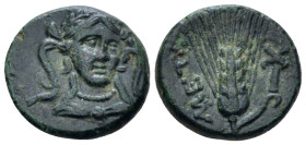 Lucania, Metapontum Bronze First quarter III to mid III century