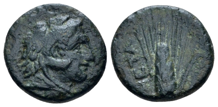Lucania, Metapontum Bronze First quarter III to mid III century, Æ 14.00 mm., 2....