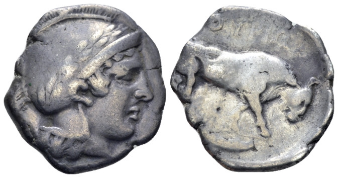 Lucania, Thurium Nomos circa 443-400, AR 22.00 mm., 7.59 g.
Head of Athena r., ...