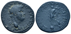 Galatia, Tavium Domitian Caesar, 69-81 Bronze circa