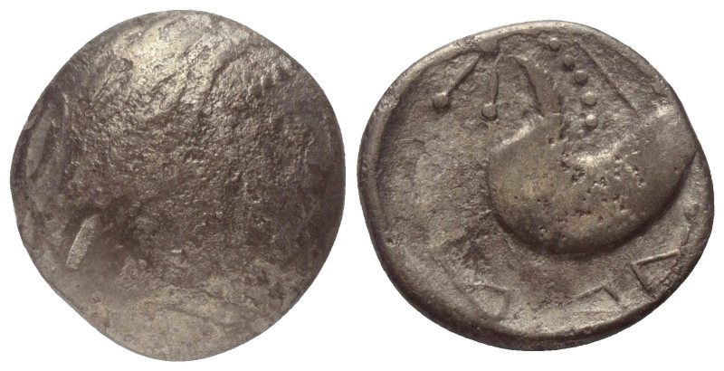 Ostkelten. Subkarpaten. Typ 'Schnabelpferd'.

 Tetradrachme (Silber).
Vs: Sti...