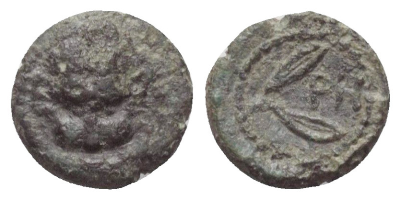 Bruttium. Rhegion.

 Bronze. Ca. 425 - 410 v. Chr.
Vs: Löwenkopf en face.
Rs...