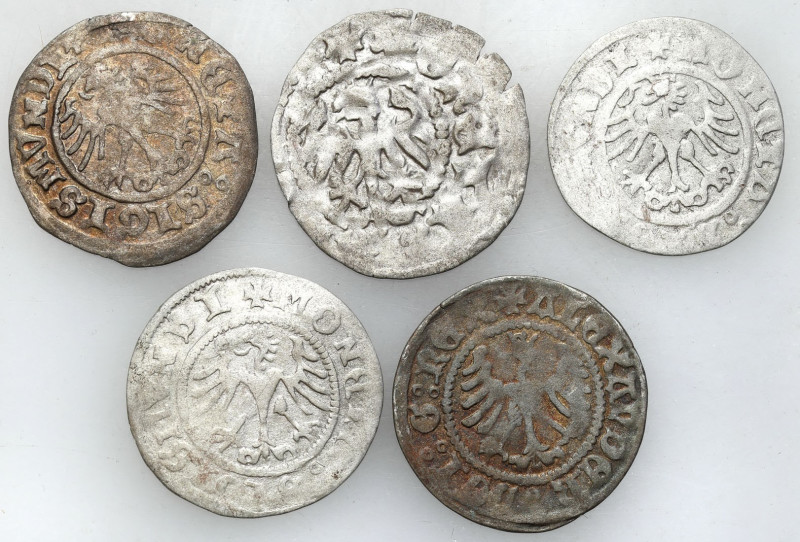Medieval coins 
POLSKA / POLAND / POLEN / SCHLESIEN

Jan I Olbracht, Alexande...