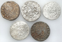Medieval coins 
POLSKA / POLAND / POLEN / SCHLESIEN

Jan I Olbracht, Alexander Jagiellończyk i Zygmunt I Stary, Halfgrosz, Cracow, group 5 pieces ...