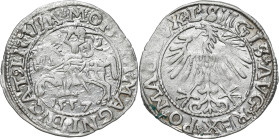 Sigismund II August
POLSKA/ POLAND/ POLEN / POLOGNE / POLSKO / LITHUANIEN / VILNIUS

Zygmunt II August. Halfgrosz 1557, Vilnius 

Końcówki napisó...