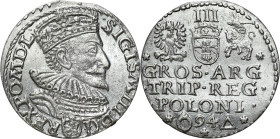COLLECTION of Polish 3 grosze
POLSKA/ POLAND/ POLEN / POLOGNE / POLSKO

Zygmunt III Waza. Trojak - 3 Grosz (Groschen) 1594, Malbork 

Na dole rew...