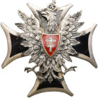 FALLERISTICS: Orders, badges, decorations
POLSKA / POLAND / POLEN / POLSKO / RUSSIA / LVIV / BADGE

II RP. Badge of the Lithuanian-Belarusian Front...
