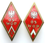 FALLERISTICS: Orders, badges, decorations
POLSKA / POLAND / POLEN / POLSKO / RUSSIA / LVIV / BADGE

PRL. O.S. BADGE O.P. - group 2 pieces 

Odzna...