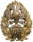 FALLERISTICS: Orders, badges, decorations
POLSKA / POLAND / POLEN / POLSKO / RUSSIA / LVIV / BADGE

Russia. Commemorative badge with initials 

P...