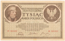 COLLECTION Polish Banknotes 1919-1938
POLSKA / POLAND / POLEN / POLOGNE / POLSKO

1.000 mark polskich 1919 – RARITY R6 

Dwukrotna numeracja Nr 9...
