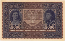 COLLECTION Polish Banknotes 1919-1938
POLSKA / POLAND / POLEN / POLOGNE / POLSKO

5.000 mark polskich 1920 III seria A 

Banknot bez złamań. Zagn...