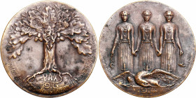 Switzerland
Switzerland. 1916 PAX Medal 

Patyna.

Details: 28,49 g brąz 43
Condition: 2-/3+ (EF-/VF+ )