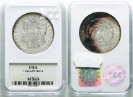 USA (United States of America)
USA / United States. 1881 S dollar, San Francisco GCN MS63 

Pięknie zachowana moneta.Blask menniczy, miejscowa, kol...