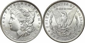USA (United States of America)
USA / United States. Dollar 1887, Philadelphia - BEAUTIFUL 

Wspaniale zachowany egzemplarz, intensywny połysk menni...