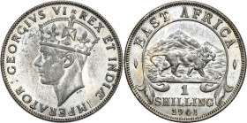 Great Britain
British East Africa. George VI. Shilling 1941 

Pięknie zachowana moneta.KM 28.1

Details: 7,83 g Ag .250 
Condition: 1- (UNC-)