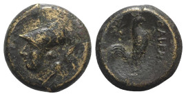 Campania, Cales, c. 265-240 BC. Æ (18mm, 5.33 g, 11h). Helmeted head of Athena l. R/ Cock standing right; star to left. HNItaly 435; SNG ANS 188. Brow...