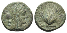 Northern Apulia, Luceria, c. 211-200 BC. Æ Biunx (18mm, 5.34g, 12h). Veiled and wreathed head of Ceres r. R/ Scallop shell. HNItaly 681; SNG ANS 708; ...