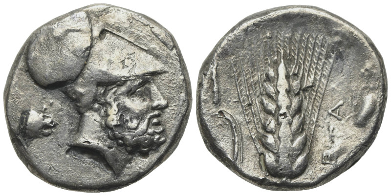 Southern Lucania, Metapontion, c. 340-330 BC. AR Stater (21mm, 6.75g, 3h). Helme...
