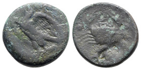 Sicily, Akragas, c. 425/0-410/06 BC. Æ Hemilitron (28mm, 19.93g, 12h). Eagle standing l. on fish. R/ Crab; crayfish below. Cf. Westermark 747-8. Fine