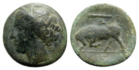 Sicily, Syracuse. Hieron II (275-215 BC). Æ Hemilitron (19mm, 4.99g, 3h), c. 275-269 BC. Wreathed head of Kore l. R/ Bull butting l.; club and Δ above...