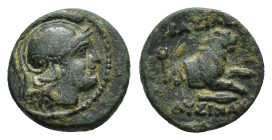 Kings of Thrace. Lysimachos (305-281 BC). Æ (13,7 mm, 2,42 g). Helmeted head of Athena r. R/ Lion leaping r., spearhead below.  SNG Copenhagen 1159. V...
