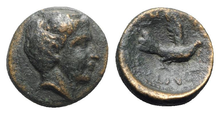 Thessaly, Metropolis, 4th century BC. Æ Chalkous (14mm, 2.36g, 6h). Bare head of...