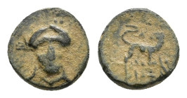 Ionia, Miletos, c. 260-220 BC. Æ (9,4 mm, 1,12 g). Philem[...], magistrate. Laureate head of Apollo facing slightly left. R/ ΦIΛHM. Lion standing righ...
