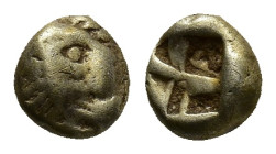Ionia, Uncertain, c. 600-550 BC. EL Hemihekte - Twelfth Stater (7mm, 1.15g). Head of lion right R/ Incuse square. Elektron I 21; Elektron II 22. Rare,...