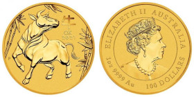 AUSTRALIA. 100 Dollars 2021, Lunar Series III, Year of the Ox, 1 oz fine gold, UNC