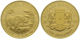 SOMALIA. 1000 Shillings 2019, Elephant, 1 oz fine gold, UNC