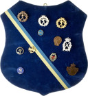 Sweden Sport Badges for Shooting (20th Century) SET Lot of 11 Badges