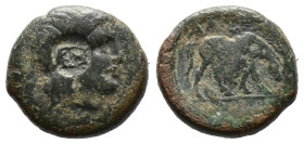 (Bronze, 4.49g 17mm) Macedon. Pella 187-31 BC. Bronze AE.