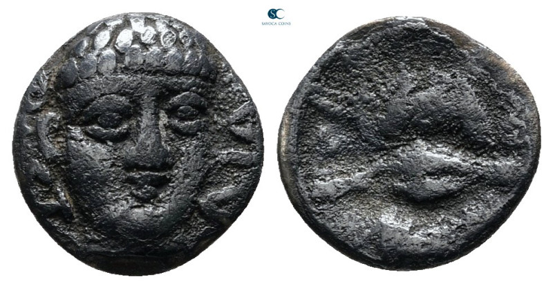 Campania. Phistelia circa 325-275 BC. 
Obol AR

10 mm, 0,67 g



very fin...