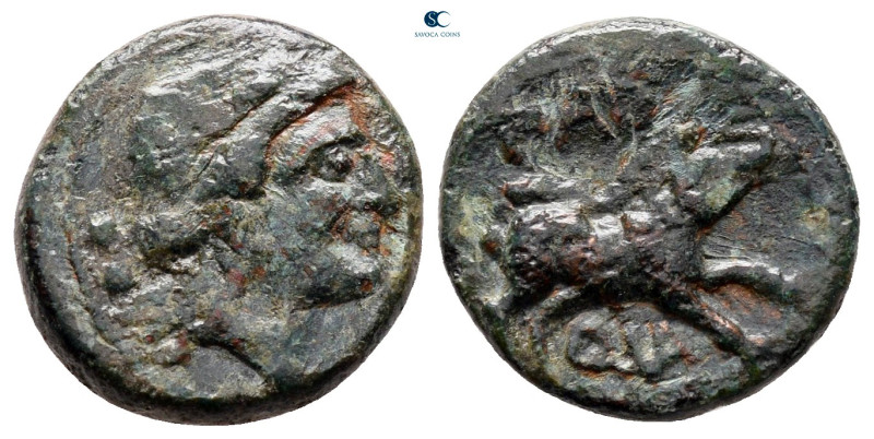 Lucania. Paestum circa 218-201 BC.
Bronze Æ

15 mm, 2,66 g

very fine