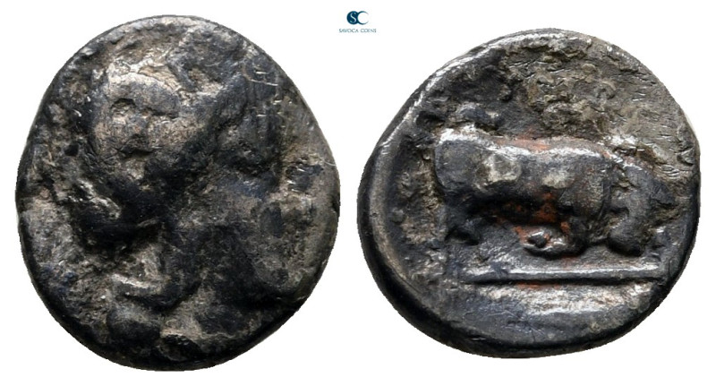 Lucania. Thourioi circa 443-350 BC. 
Diobol AR

11 mm, 1,05 g



very fin...