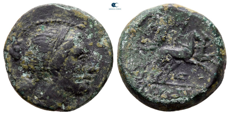Bruttium. The Brettii circa 211-208 BC.
Bronze Æ

16 mm, 3,02 g

nearly ver...