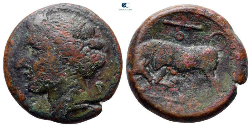 Sicily. Syracuse. Hieron II 275-215 BC.
Bronze Æ

19 mm, 6,46 g

very fine