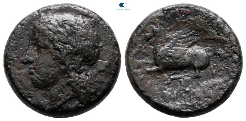 Sicily. Syracuse. Hieron II 275-215 BC.
Bronze Æ

18 mm, 5,96 g

very fine