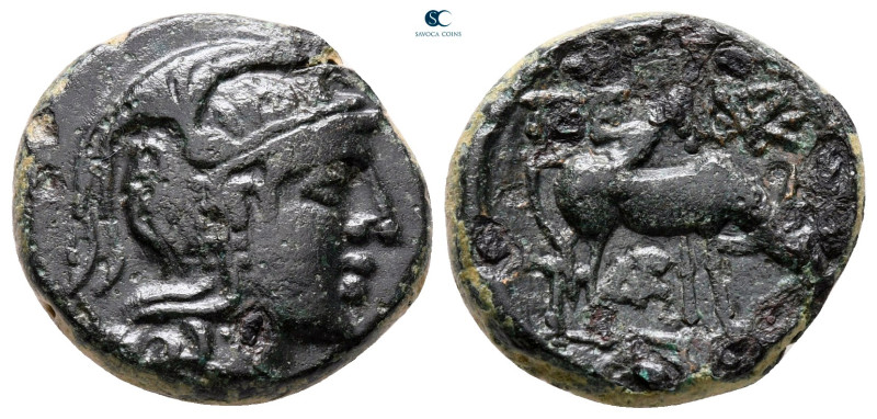 Macedon. Pella circa 187-31 BC. 
Bronze Æ

18 mm, 4,99 g



very fine
