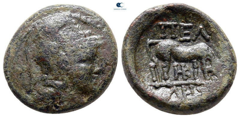 Macedon. Pella circa 187-167 BC. 
Bronze Æ

18 mm, 5,02 g



nearly very ...