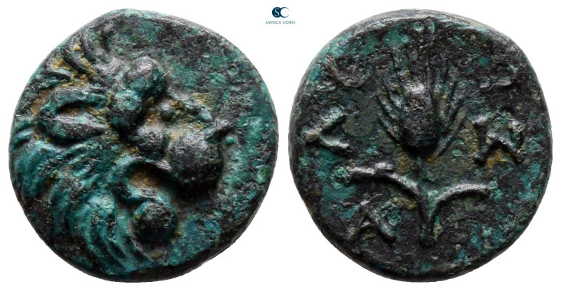 Thrace. Lysimacheia circa 309-198 BC. 
Bronze Æ

15 mm, 3,39 g



very fi...